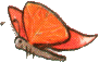 roter Schmetterling