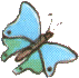 blauer Schmetterling
